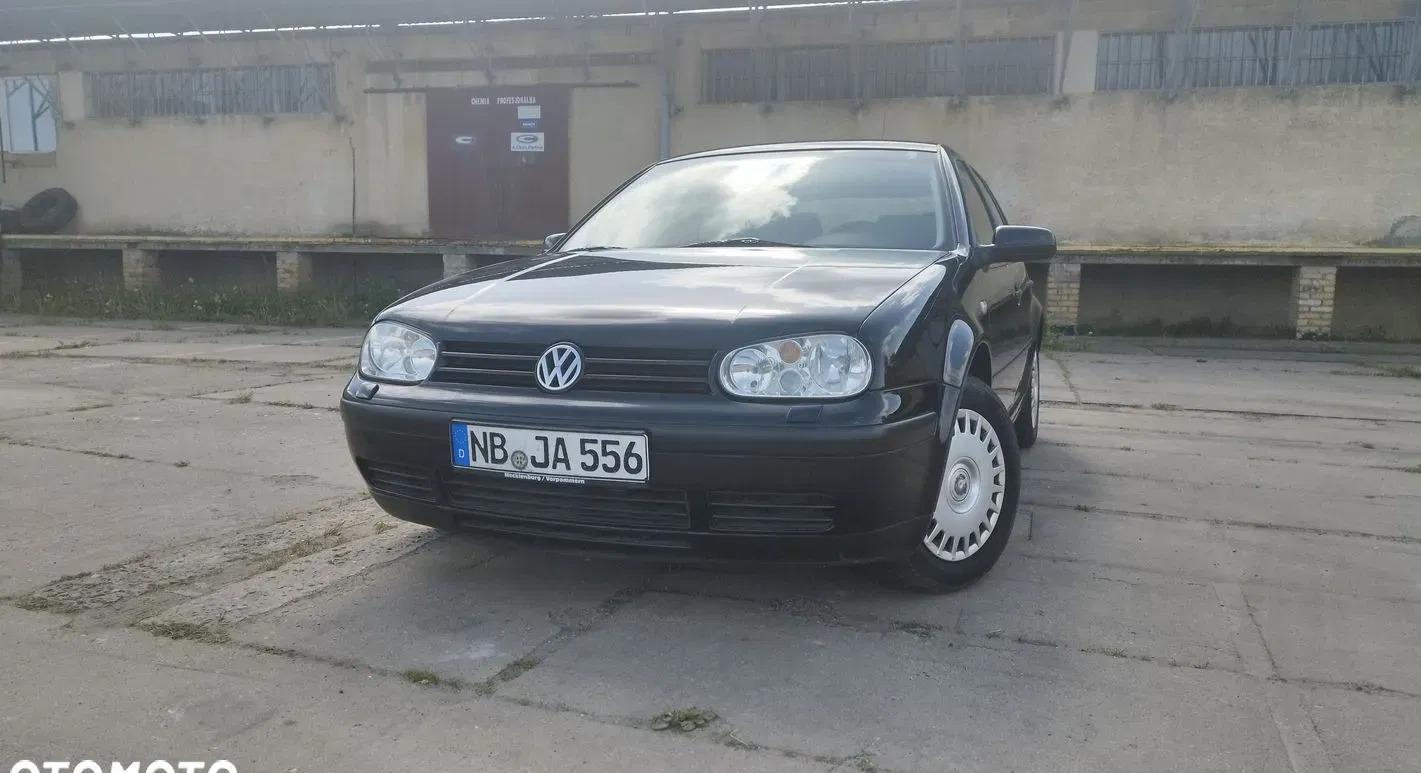 volkswagen Volkswagen Golf cena 7900 przebieg: 159646, rok produkcji 2002 z Piwniczna-Zdrój